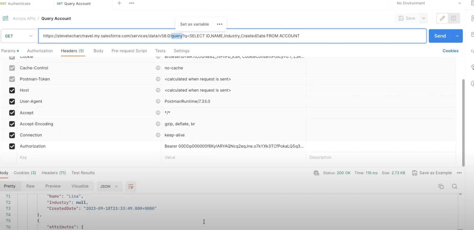 لقطة شاشة: طلب في Postman يشغّل استعلام SOQL على Salesforce REST API، مع ترويسة التفويض واستجابة JSON