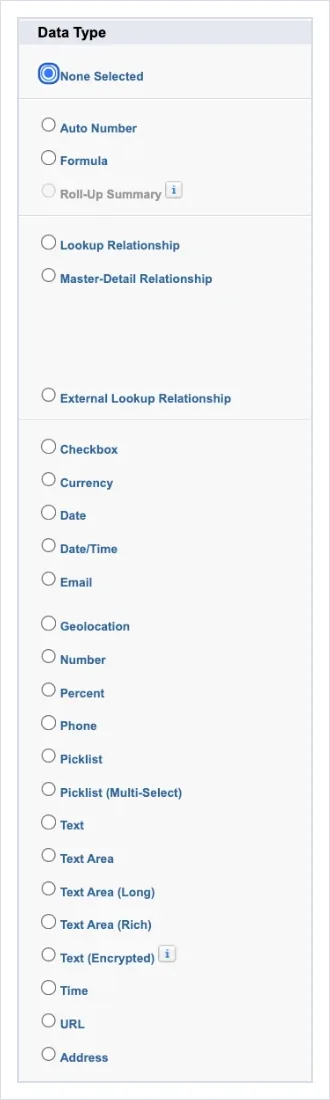 The New Custom Field screen's list of data types, grouped: Auto Number, Formula and Roll-Up Summary; Lookup, Master-Detail and External Lookup Relationship; then Checkbox, Currency, Date, Date/Time, Email, Geolocation, Number, Percent, Phone, Picklist, Multi-Select Picklist, Text, Text Area, Long, Rich and Encrypted Text, Time, URL and Address