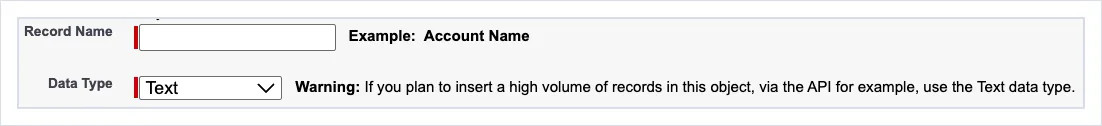 The Record Name section of the New Custom Object screen: the Record Name box, a Data Type of Text, and the warning to use the Text data type if you plan to insert a high volume of records through the API